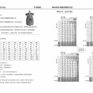 BMH系列擺線液壓馬達