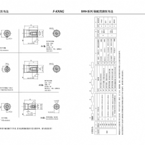 BMH系列擺線液壓馬達