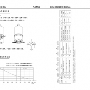 BMM系列擺線液壓馬達(dá)